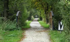 Piękny szlak rowerowy pomarańczowy w otoczeniu zieleni. W oddali widać rowerzystę.
