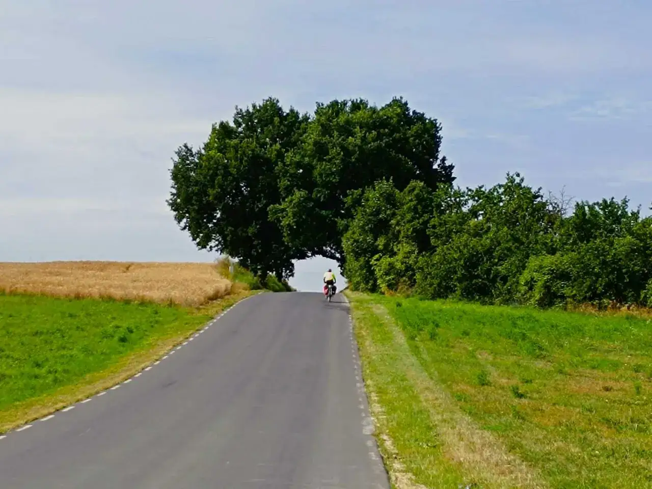 Rowerzysta na drodze wśród pól i drzew, część szlaku stu jezior.